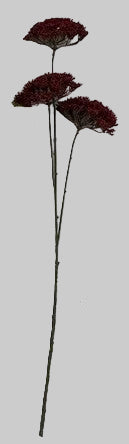 AU10103 QUEEN ANN LACE SPRAYx3,34"