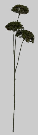 AU10103 QUEEN ANN LACE SPRAYx3,34"