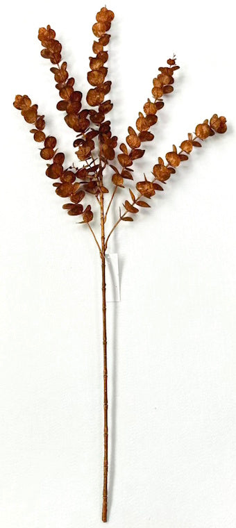 AU10105 EUCALYPTUS SPRAY,30"