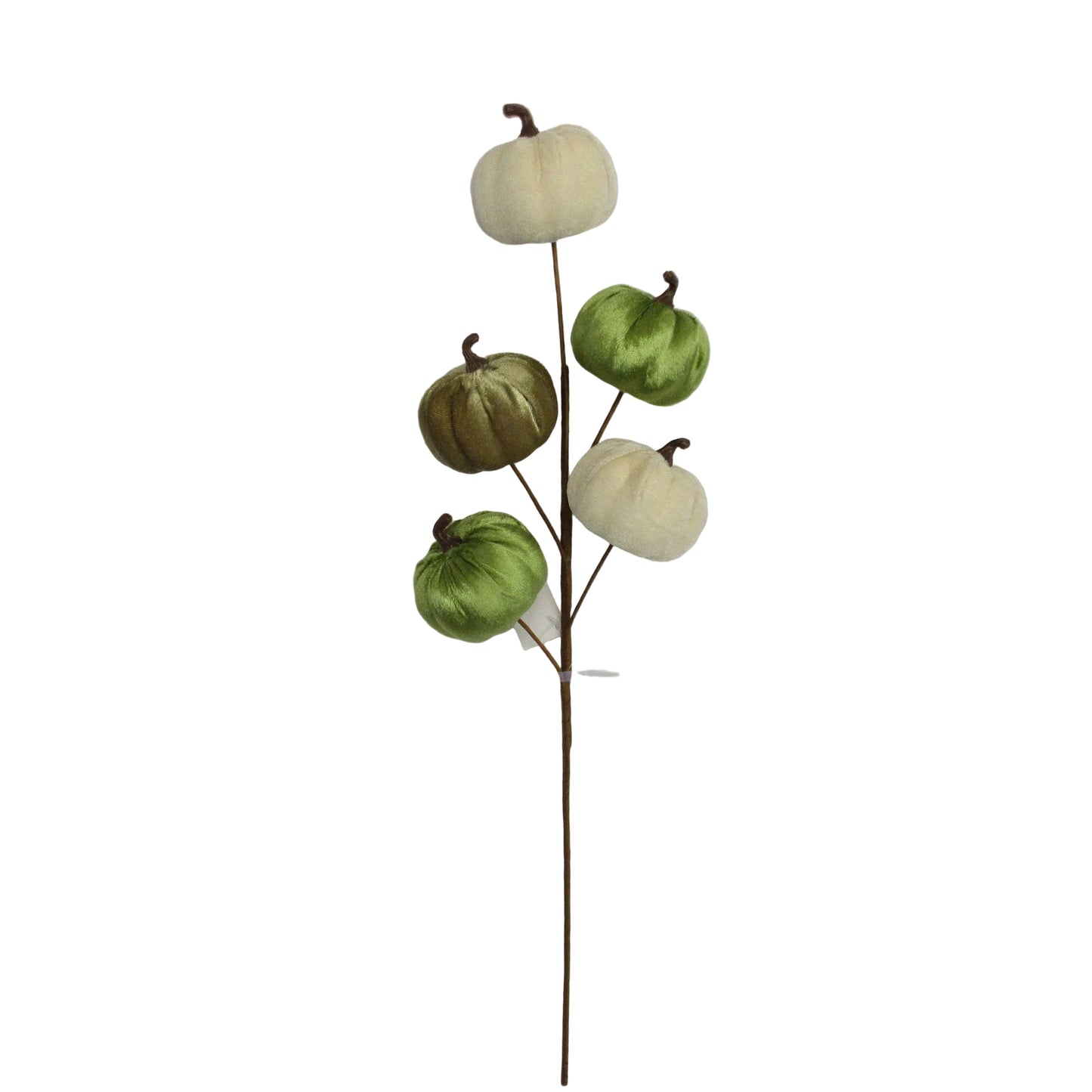 AU10117 VELVET PUMPKIN SPRAYx5