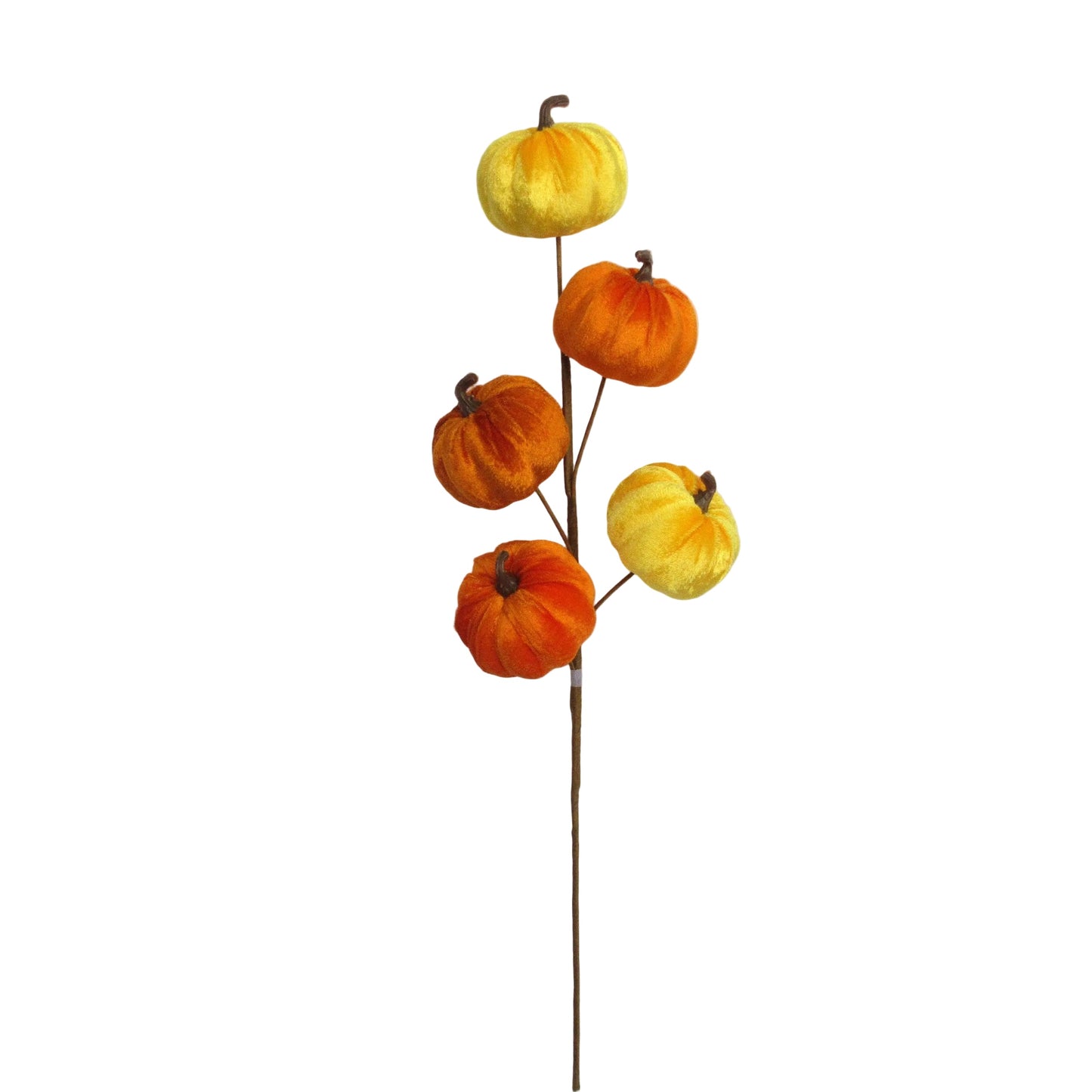 AU10117 VELVET PUMPKIN SPRAYx5