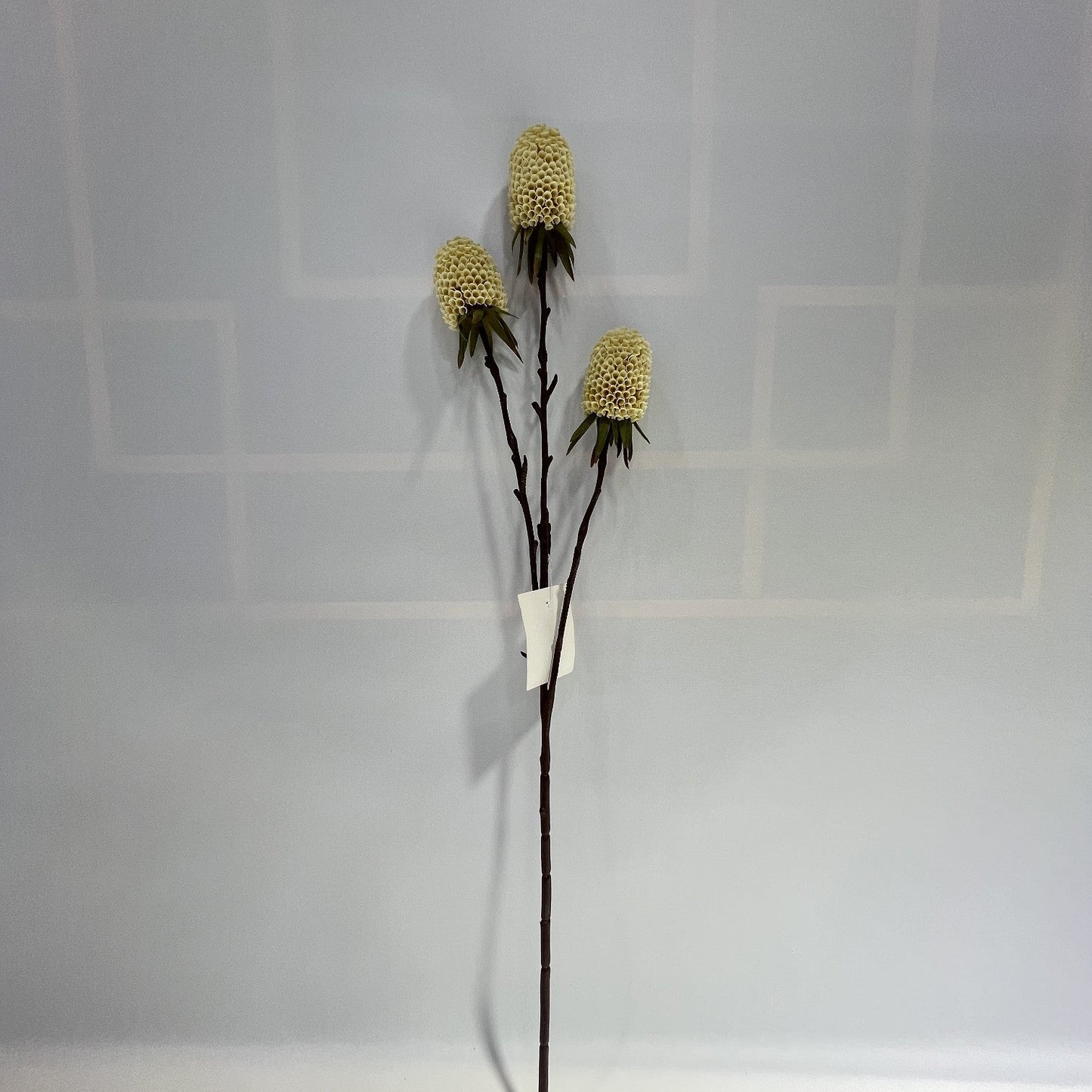 AU10140 BANKSIA SPRAY,29"