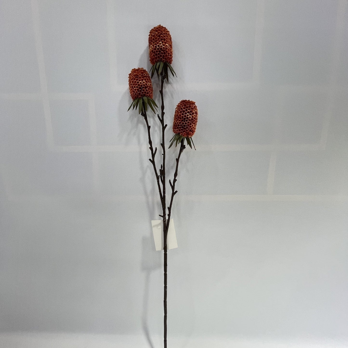 AU10140 BANKSIA SPRAY,29"