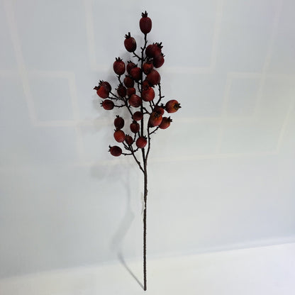 AU10144 ROSESHIP SPRAY,29"