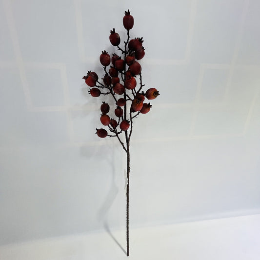 AU10144 ROSESHIP SPRAY,29"