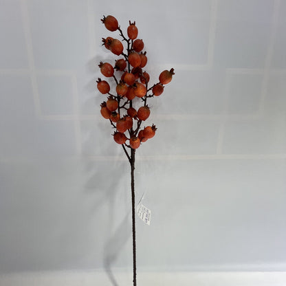 AU10144 ROSESHIP SPRAY,29"