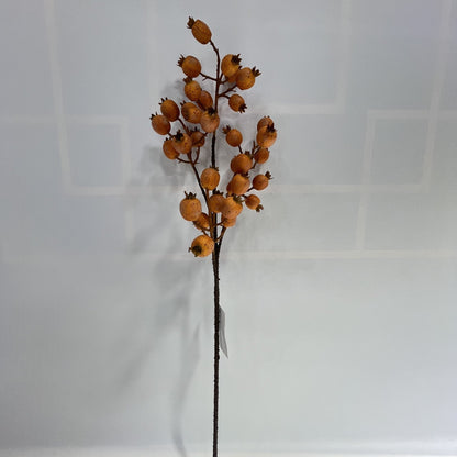 AU10144 ROSESHIP SPRAY,29"