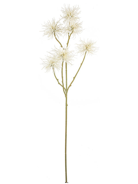 AU10164 CLEMATIS SEED SPRAY,32"
