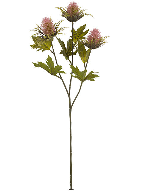 AU10168 TEASEL SPRAYx3,26.5"