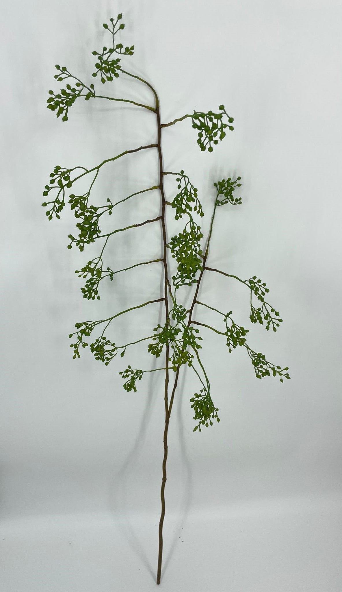 AU10181 BERRY BRANCH 55"