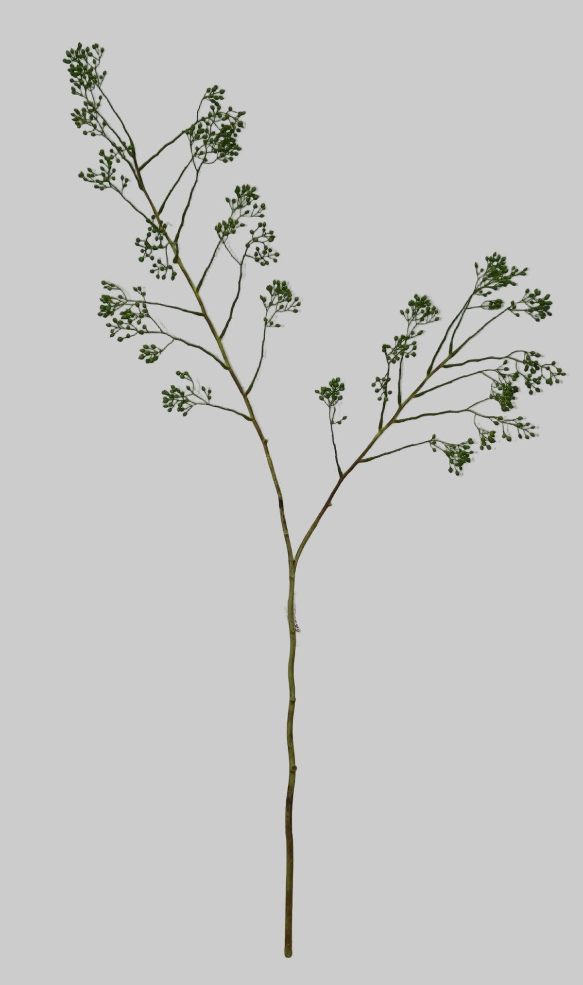 AU10181 BERRY BRANCH 55"