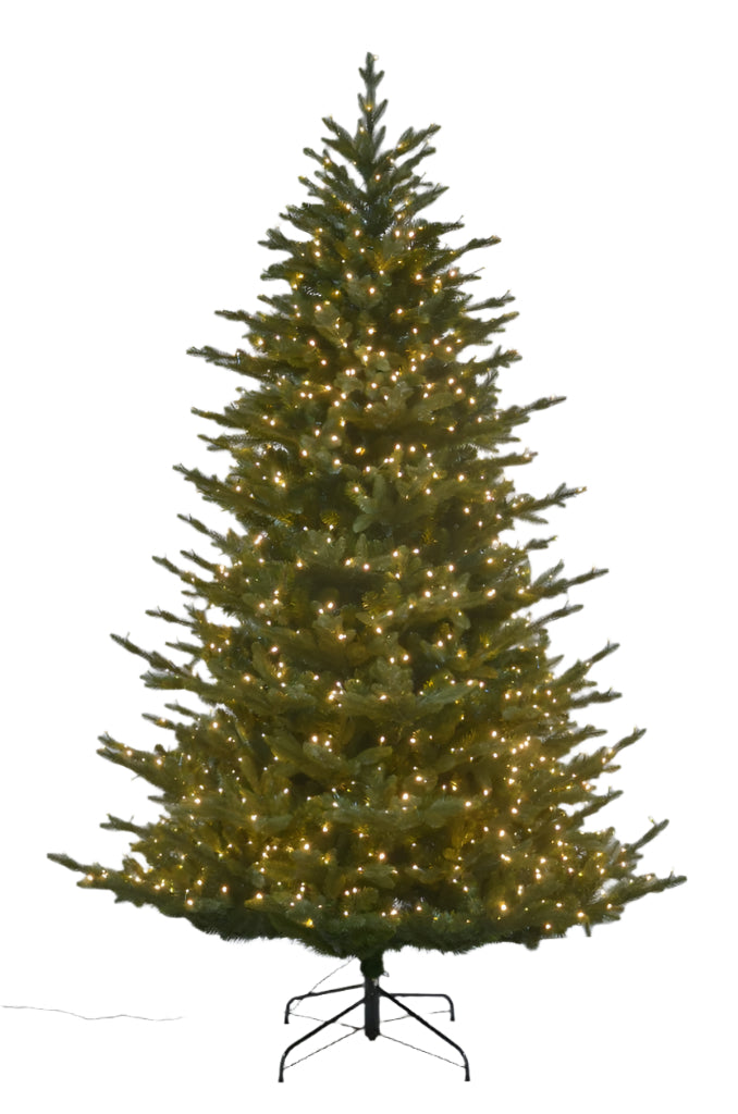 XM30012 ASHEVILLE FIR TRx4371T,1630 LED,9'