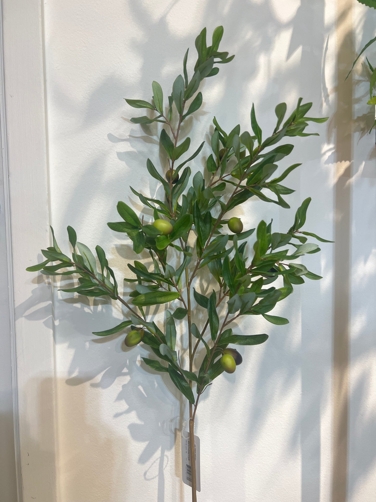 SY11123  OLIVE w/OLIVES SPRAY 46"