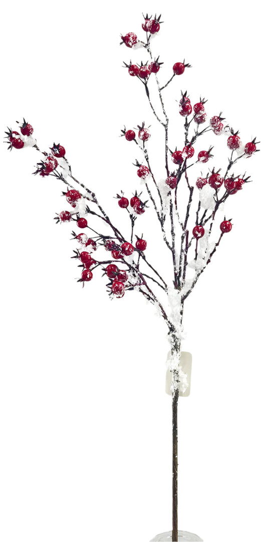 BE10327 SNOWY ROSEHIP SPRAY,24.5"