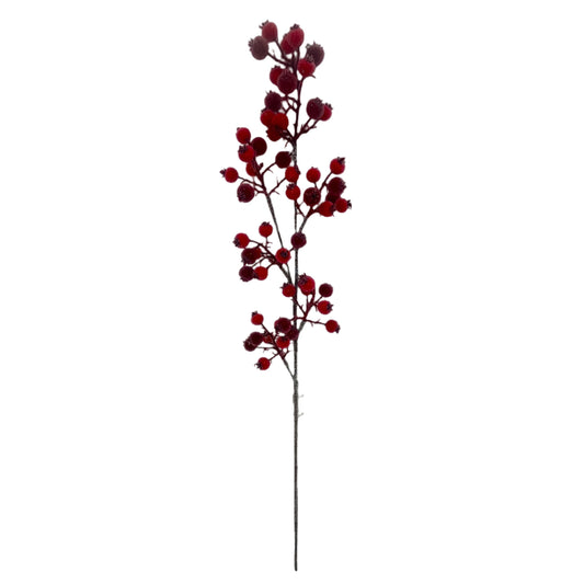 BE10343 ICED ROSEHIP SPRAY 36"