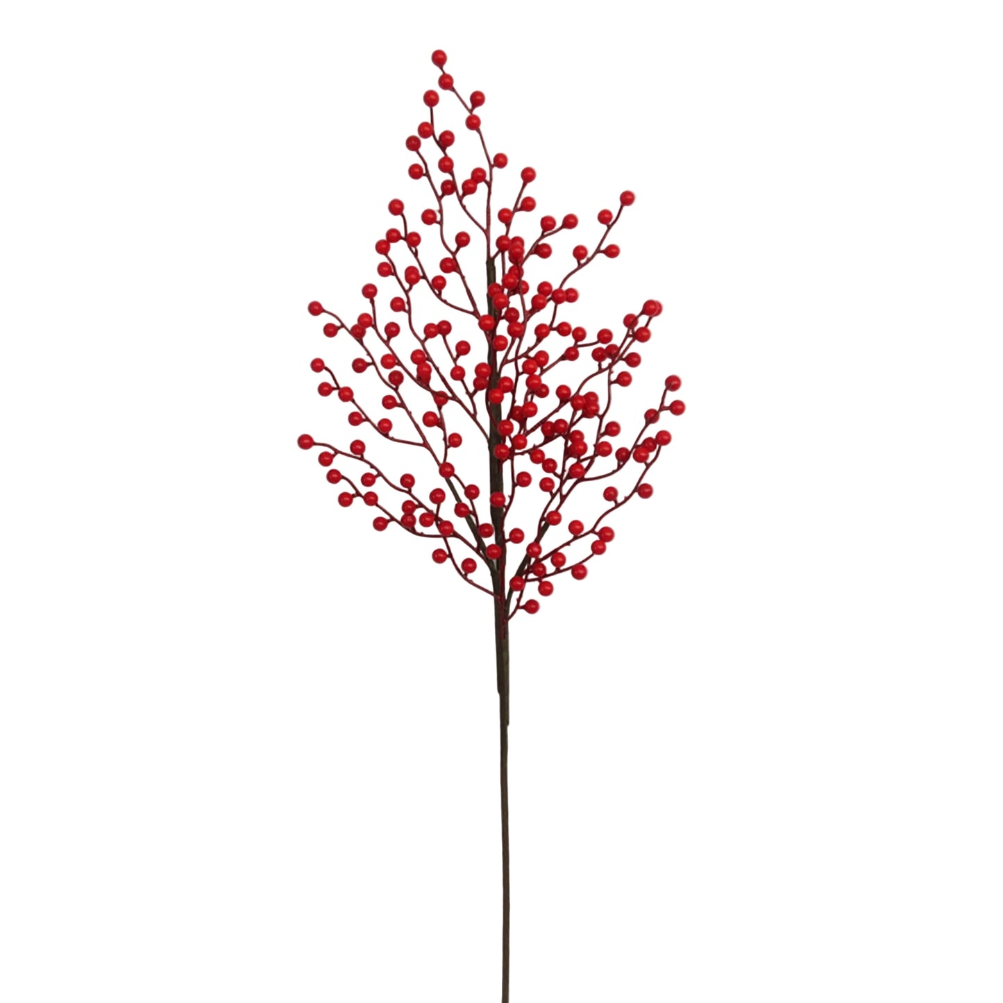BE10413 BERRY SPRAY