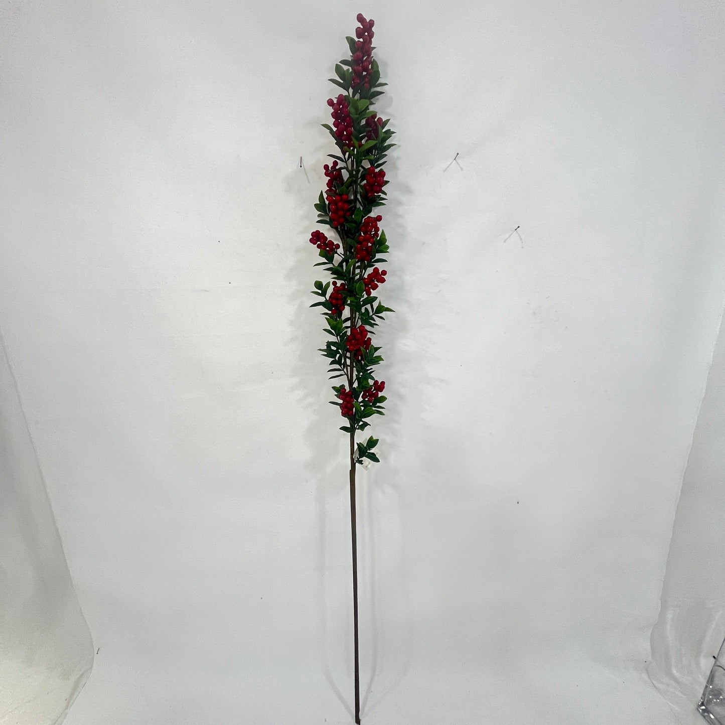 BE10431 PYRACANTHA BRANCH,5'