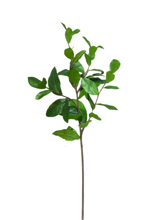 SY11129  BAY LEAF SPRAY 35"