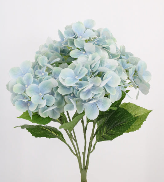 BF10191 HYDRANGEA BUSHx5, 21in