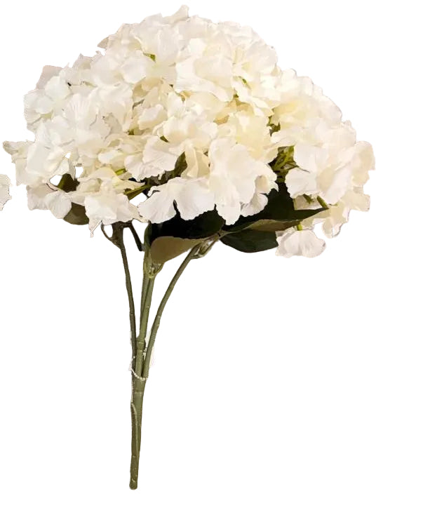 BF10204	HYDRANGEA BUSHx5 18in