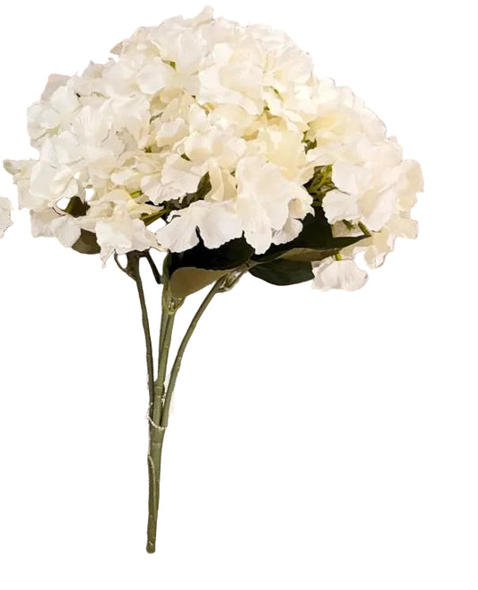 BF10204	HYDRANGEA BUSHx5 18in