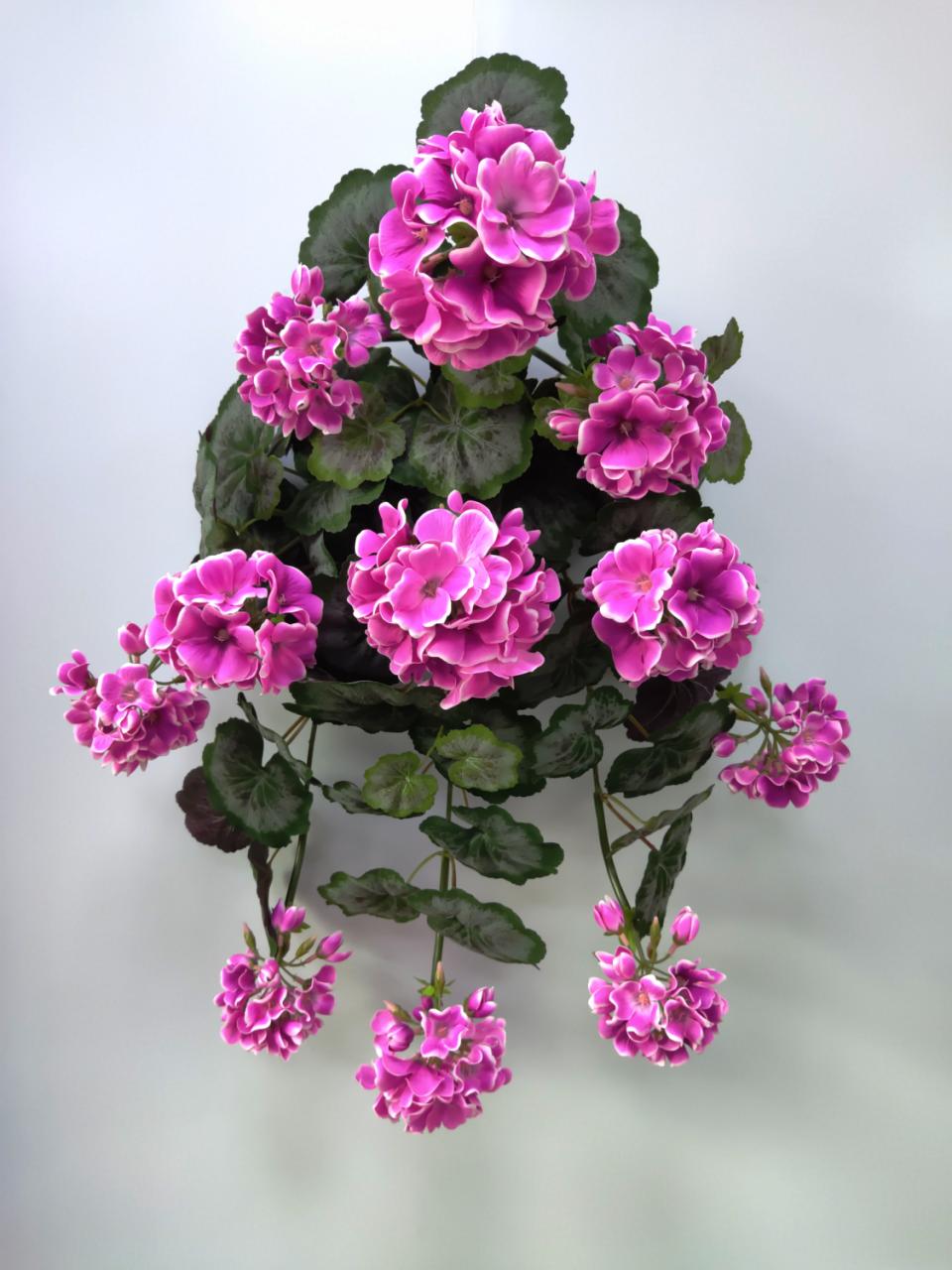 BF10231 GERANIUM HANGING BUSH,22"