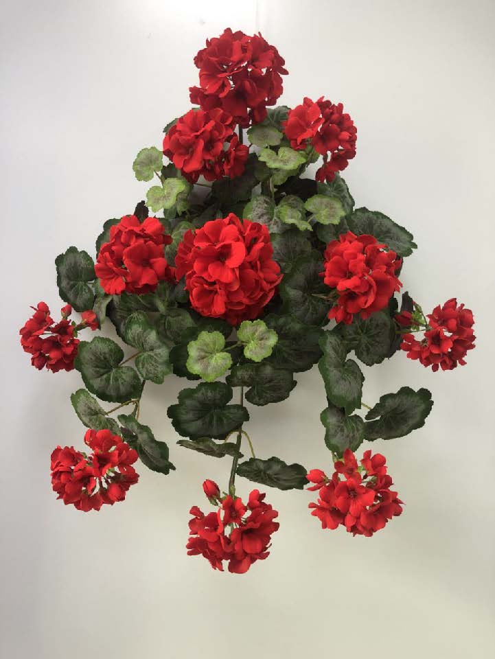 BF10231 GERANIUM HANGING BUSH,22"