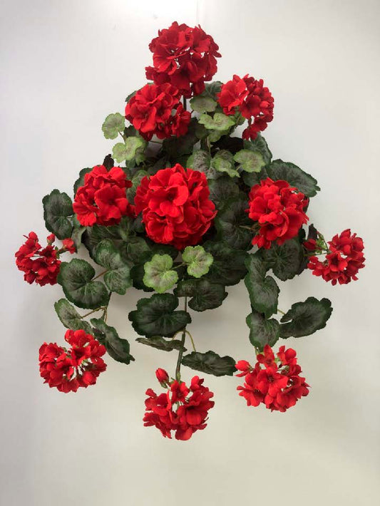 BF10231 GERANIUM HANGING BUSH,22"