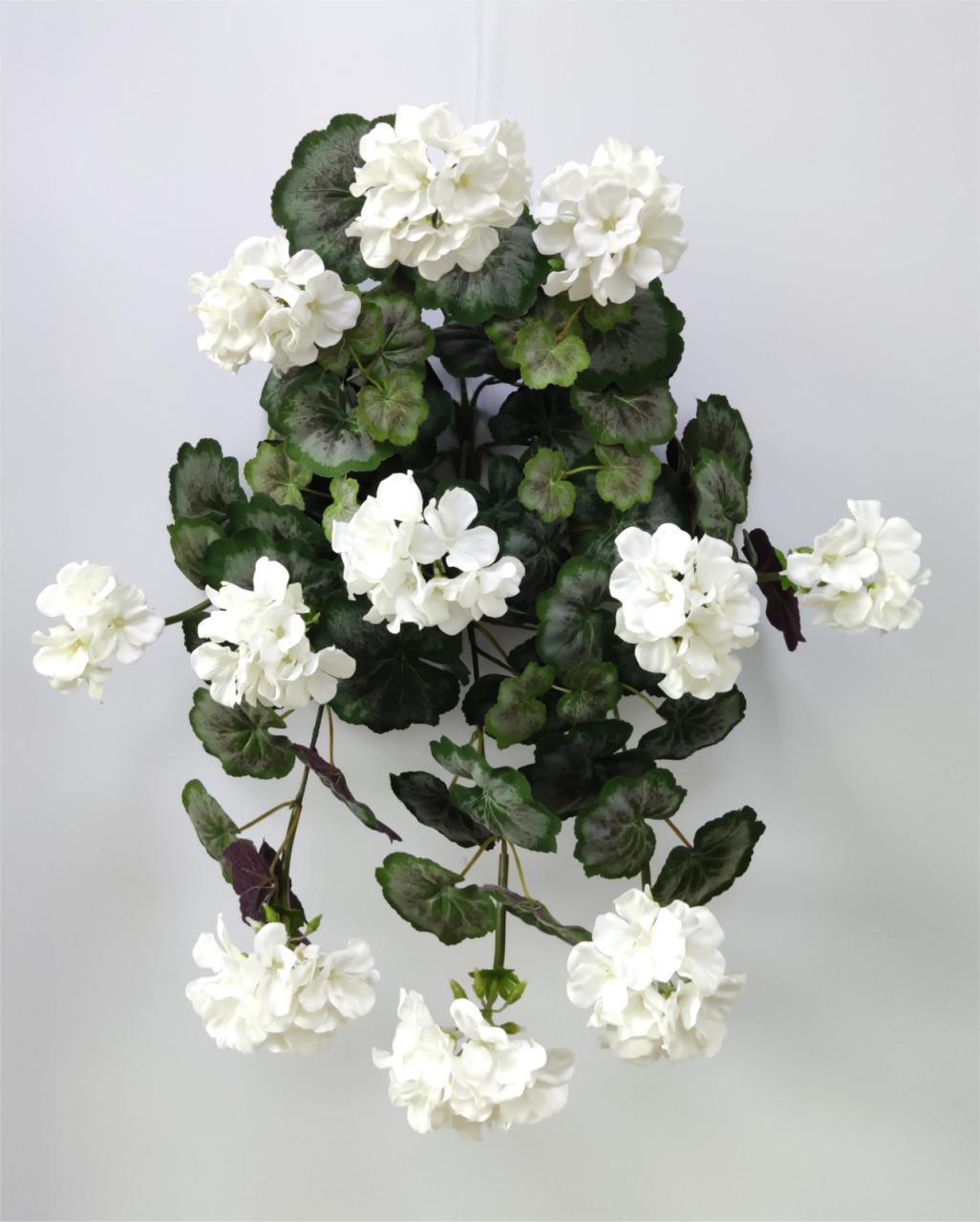 BF10231 GERANIUM HANGING BUSH,22"