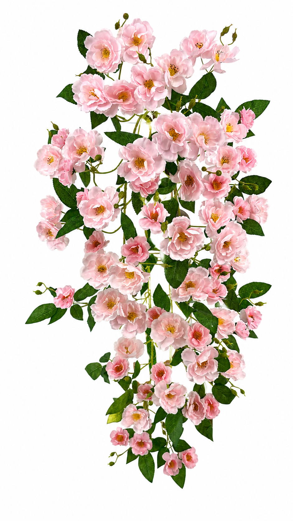 BF10244 CLIMBING ROSE HANGING BUSH,50"