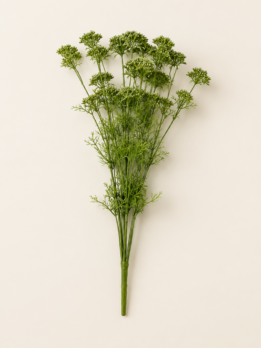 BF10304 YARROW BUSH  22"