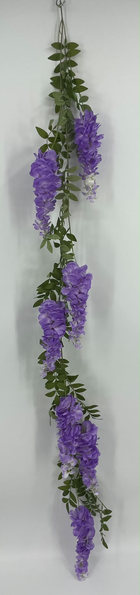 BF10312 WISTERIA GARLANDx7F  6'