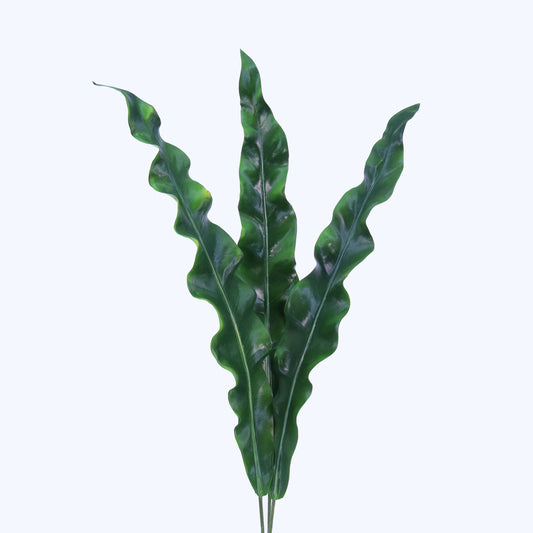 BG10376 BIRD NEST FERN LEAFx3,45in-12P/144