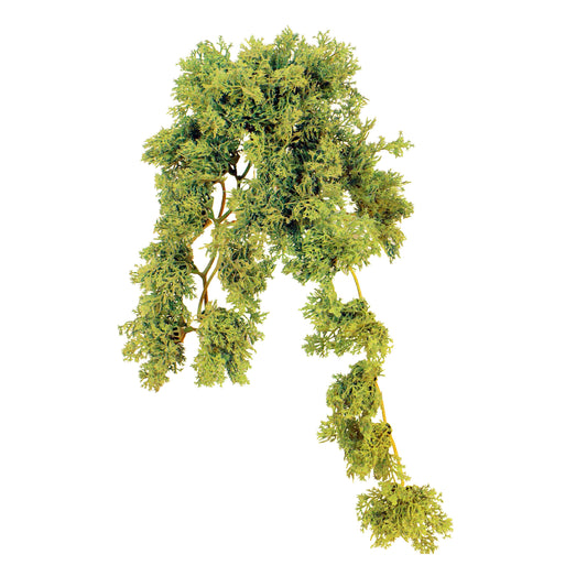 BG10413 MOSS BUSH,9in-12P/144/7'