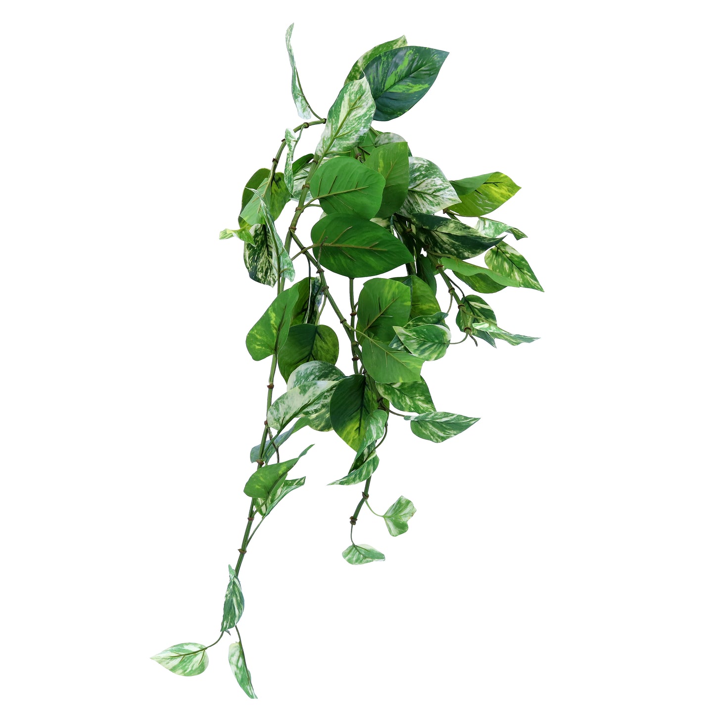 BG10522 POTHOS HANGING BUSH,32in-8P/32/7.65'