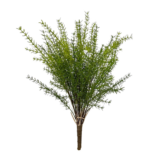 BG10594 ASPARAGUS FERN BUSH,25.5"