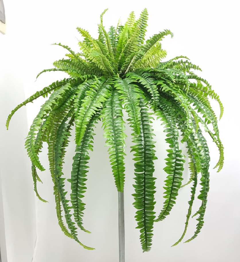 BG10615 BOSTON FERN HANGING BUSH,50"