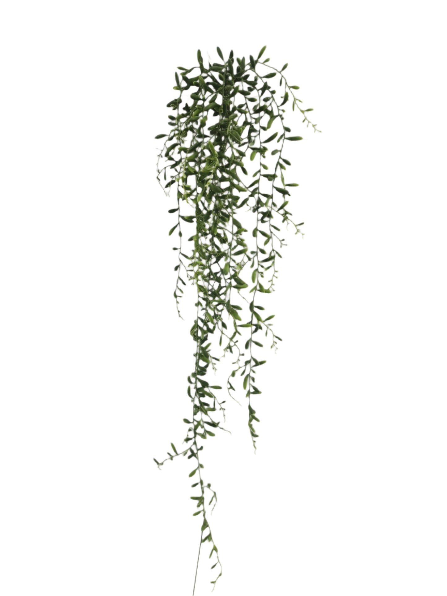 BG10643 LITTLE PICKLES HANGING BUSH 34"