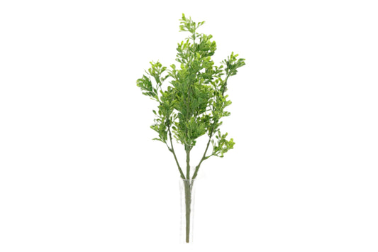 BG10646 BOXWOOD BUSH 16"