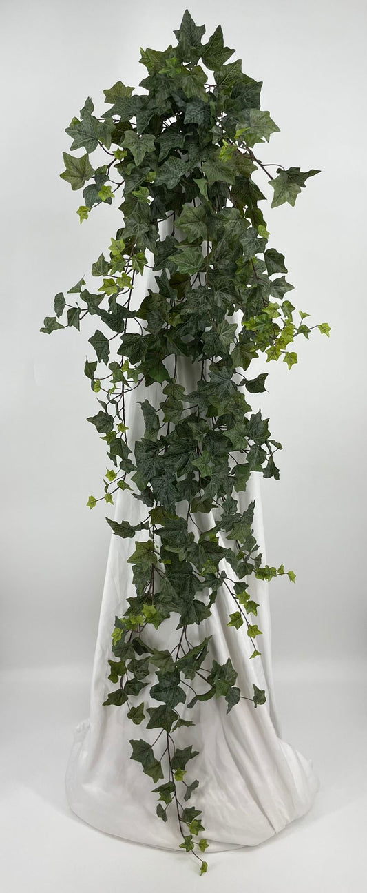 BG10653 HOLLAND IVY HANGING BUSH 70"