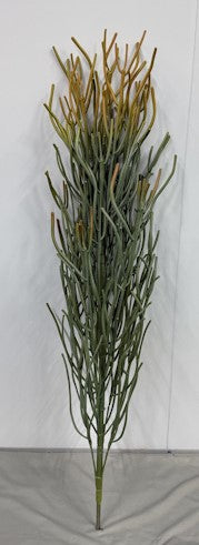 BG10704 PENCIL CACTUS PLANT (UV),3'
