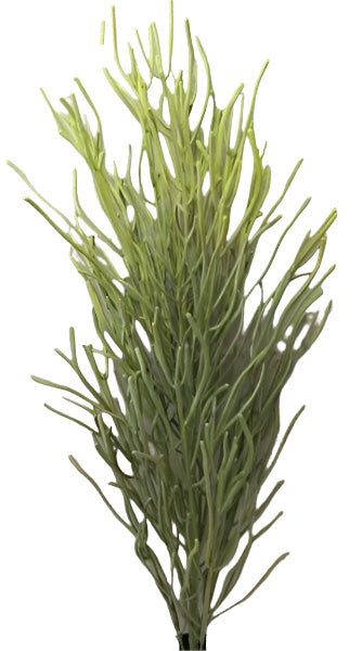 BG10705 PENCIL CACTUS PLANT (UV),4'