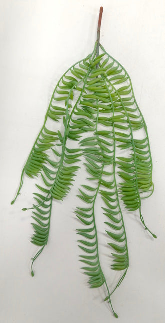 BG10733 FERN HANGING BUSH,26"