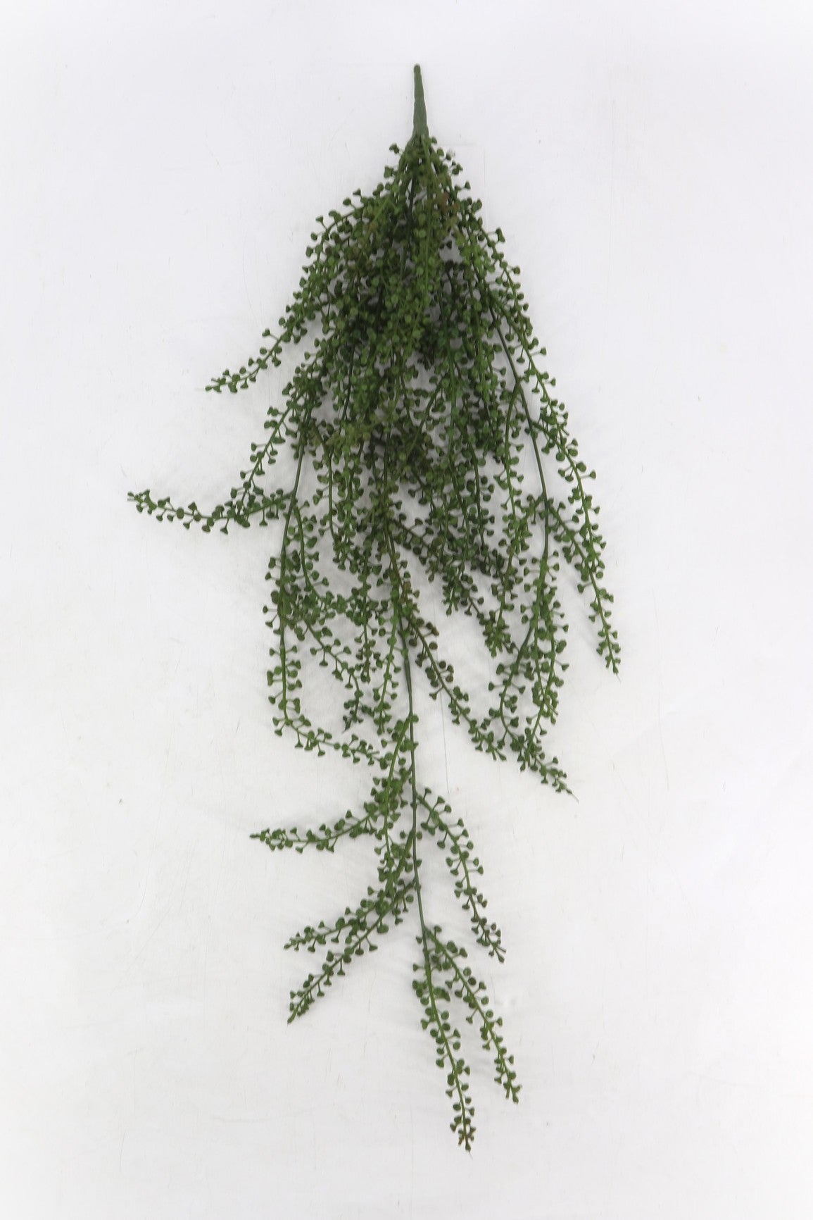 BG10763 SEDUM HANGING BUSH 32.5"