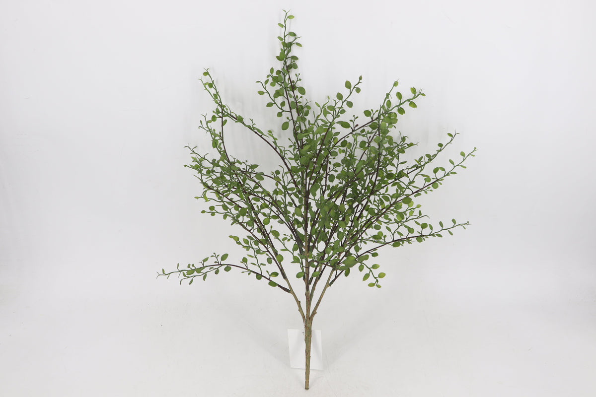 BG10764 BUTTON LVS BUSH 23"