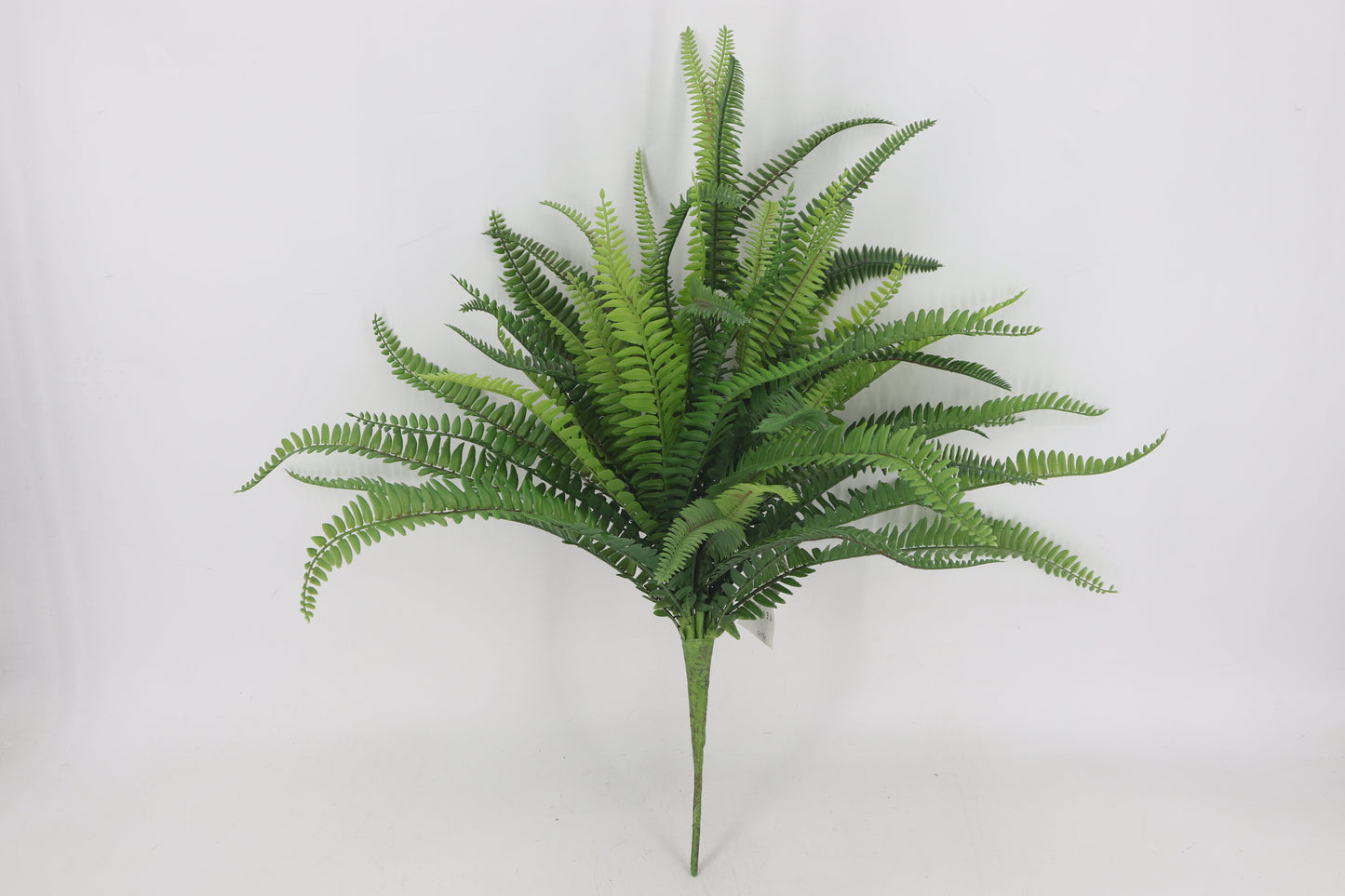 BG10765 BOSTON FERN BUSH 26"