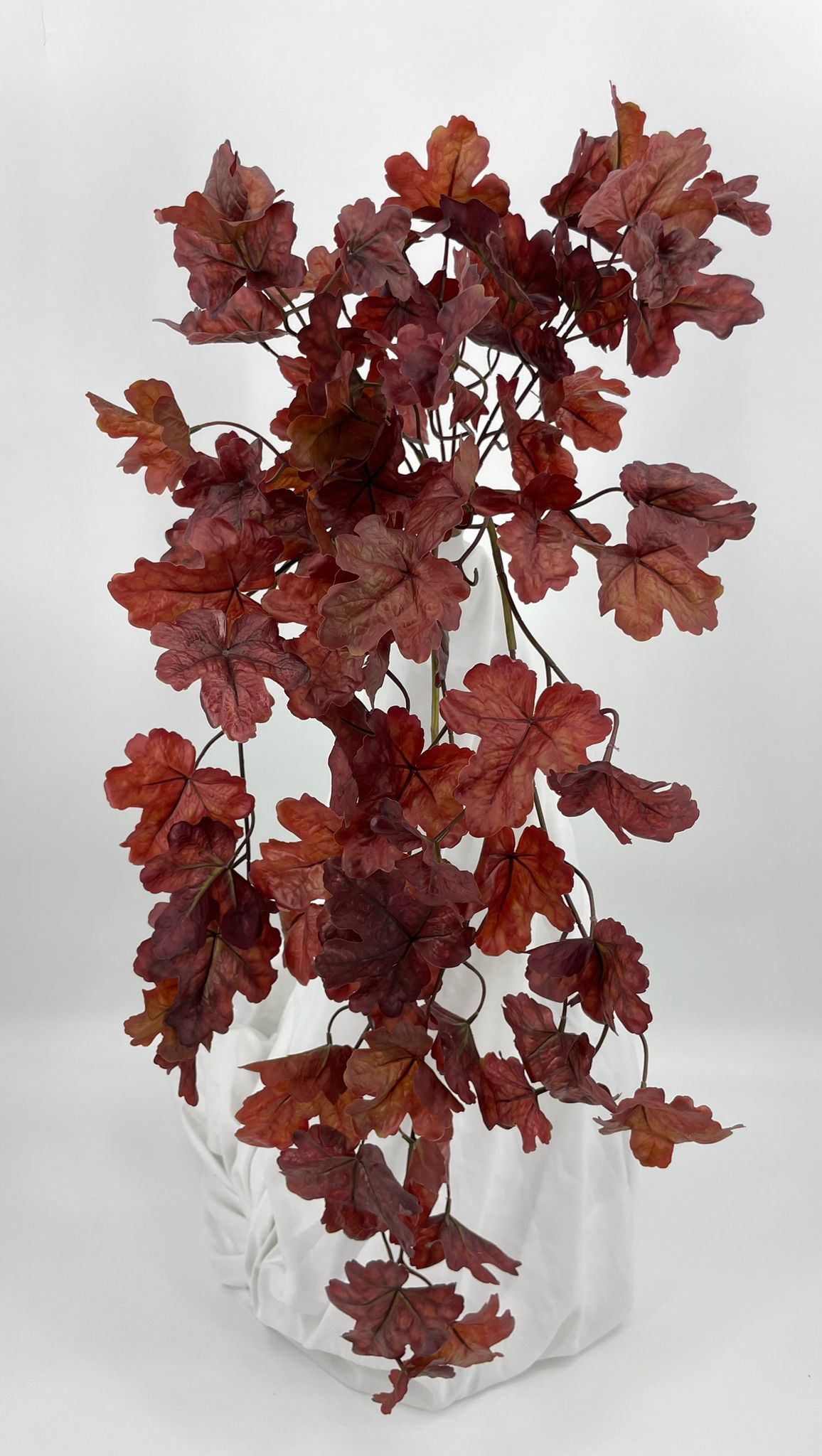BG10771 HEUCHERA HANGING BUSH  32"