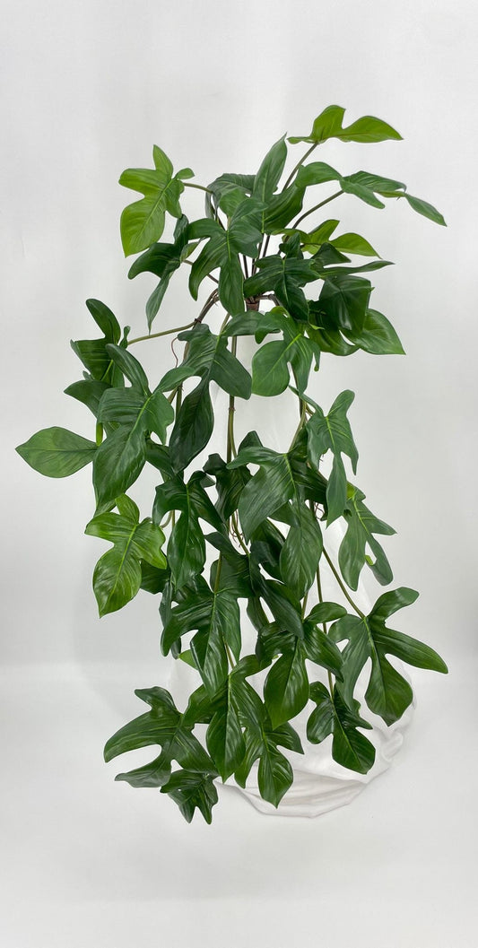 BG10773 PHILODENDRON HANGING BUSH  40"