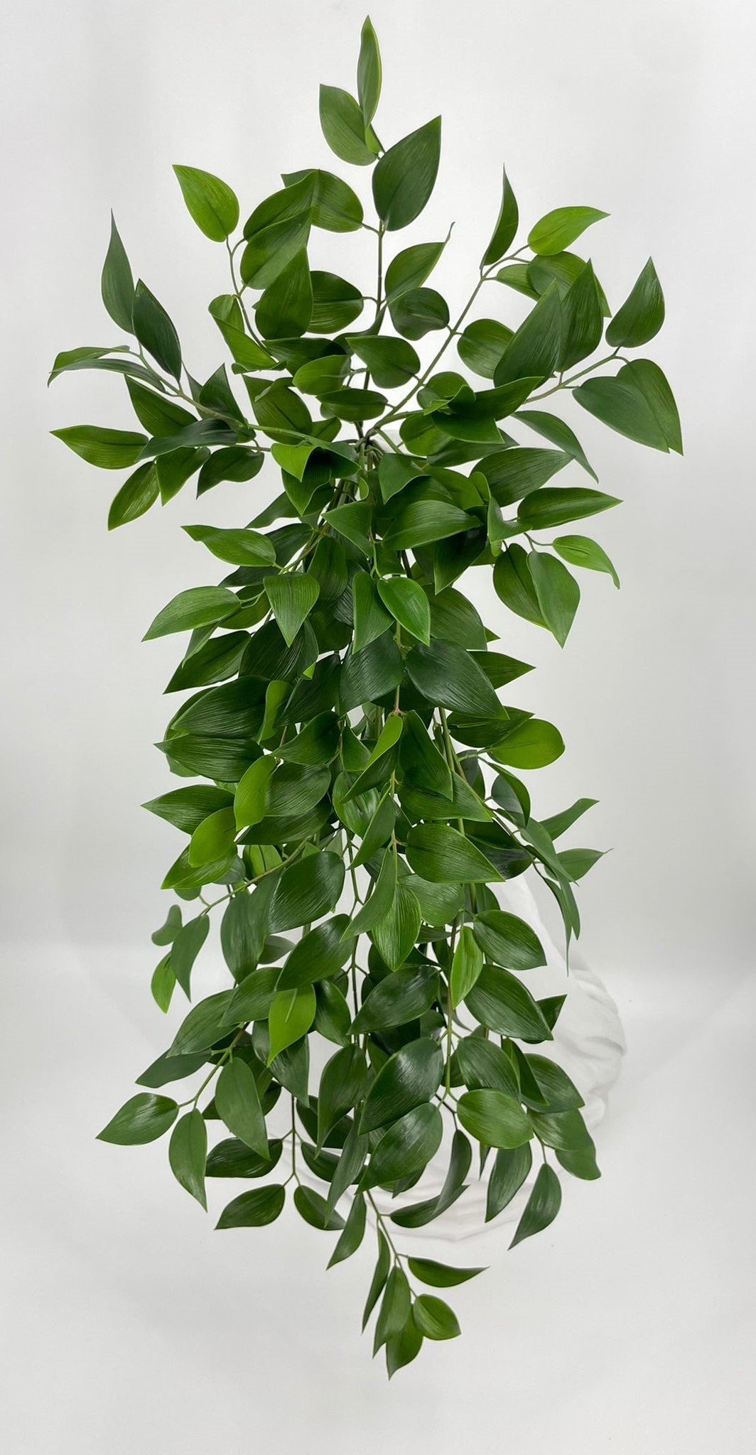 BG10774 SMILAX HANGING BUSH  40"