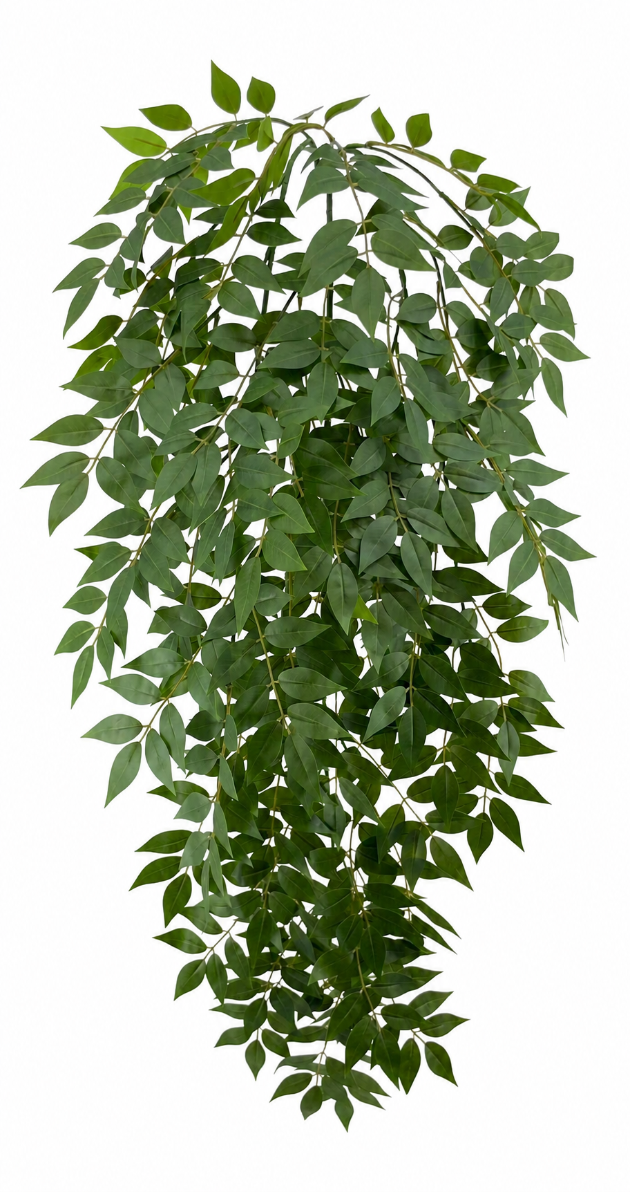BG10786 SMILAX HANGING BUSH 51"